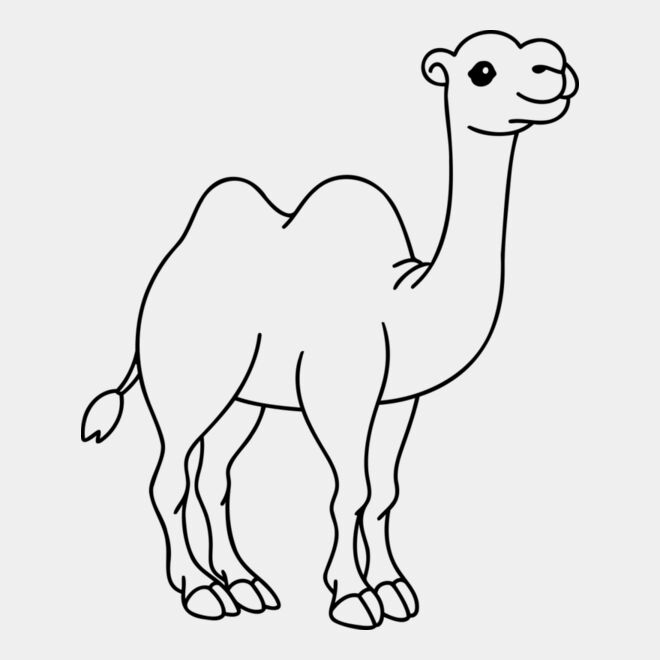 Camel   Clipart 1 Thumbnail