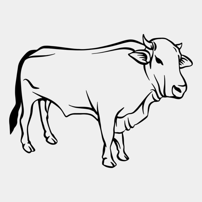 Cow   Clipart 2 Thumbnail