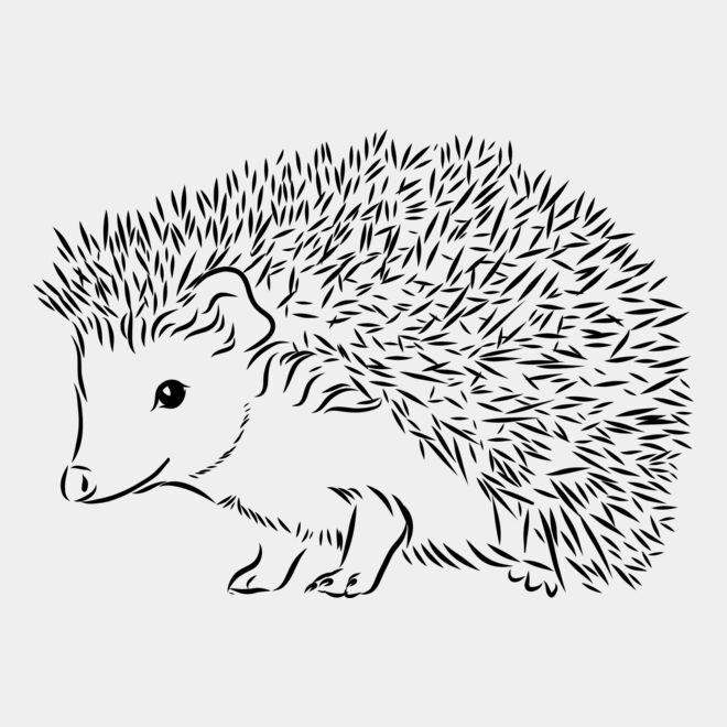 Hedgehog   Clipart 2 Thumbnail