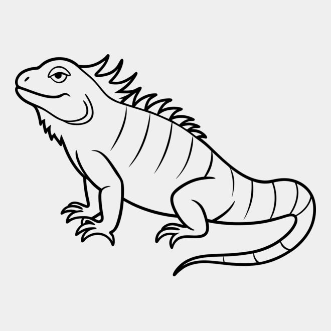 Iguana   Clipart 1 Thumbnail
