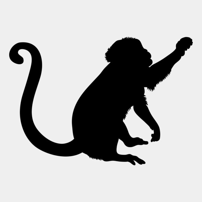 Monkey   Clipart 2 Thumbnail