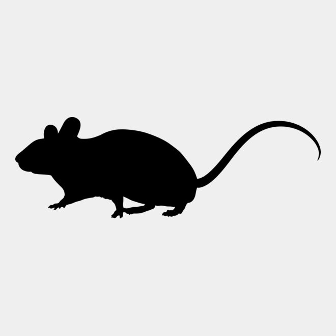 Mouse   Clipart 1 Thumbnail