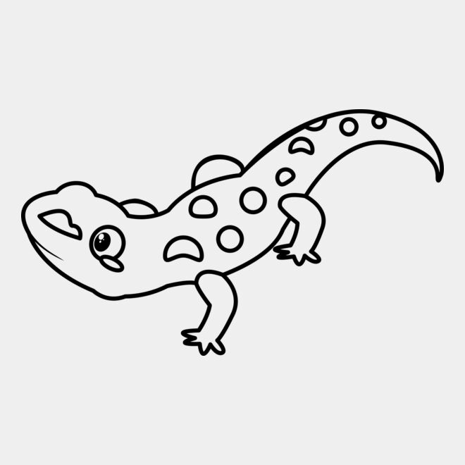 Newt   Clipart 2 Thumbnail