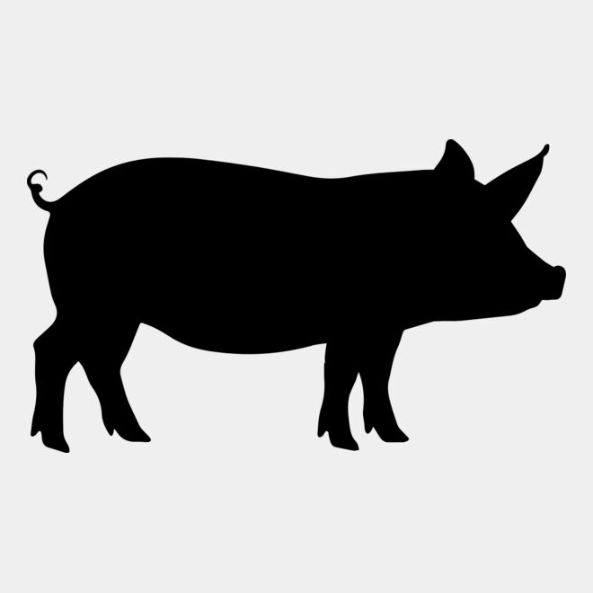 Pig   Clipart 1 Thumbnail