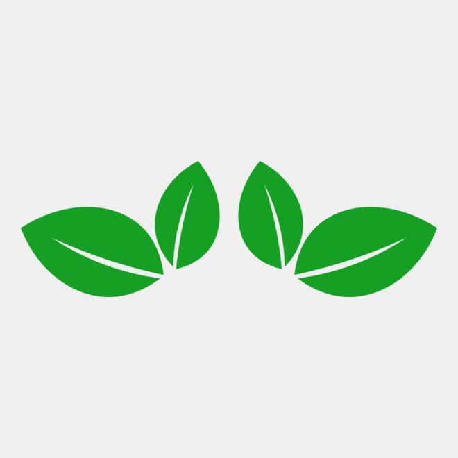 11 Leaves Thumbnail