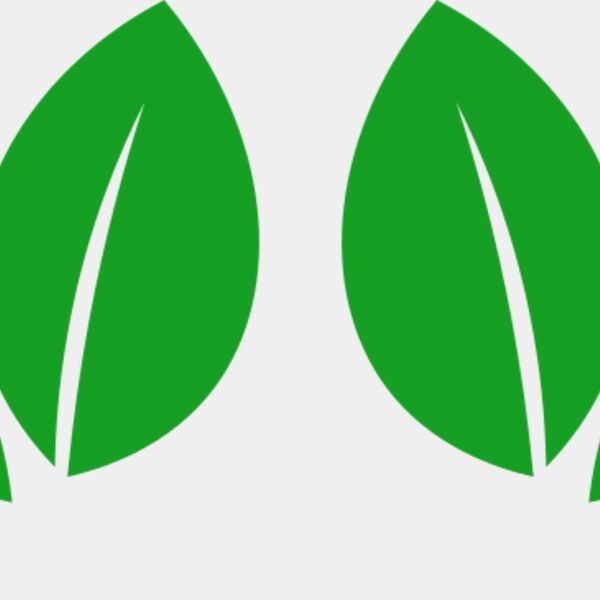 11 Leaves Thumbnail
