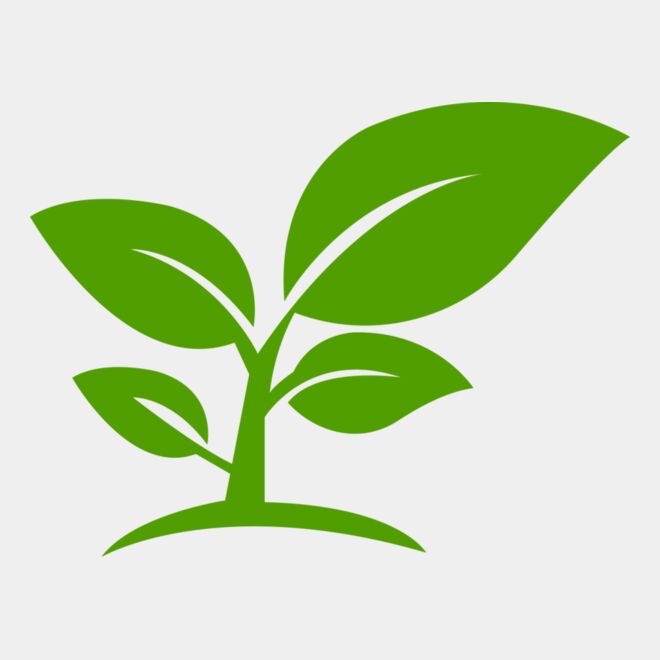 12 Leaves Thumbnail