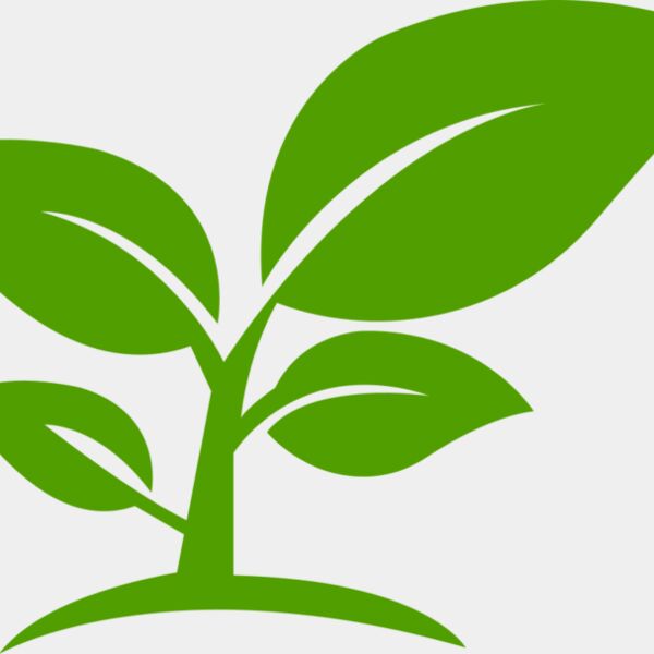 12 Leaves Thumbnail