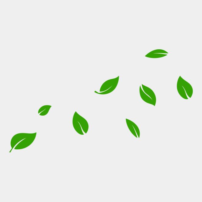 13 Leaves Thumbnail