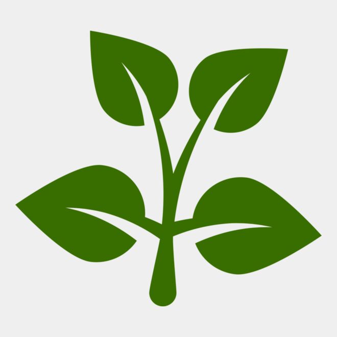 15 Leaves Thumbnail