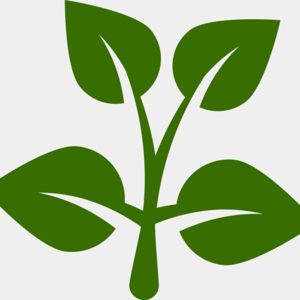 15 Leaves Thumbnail