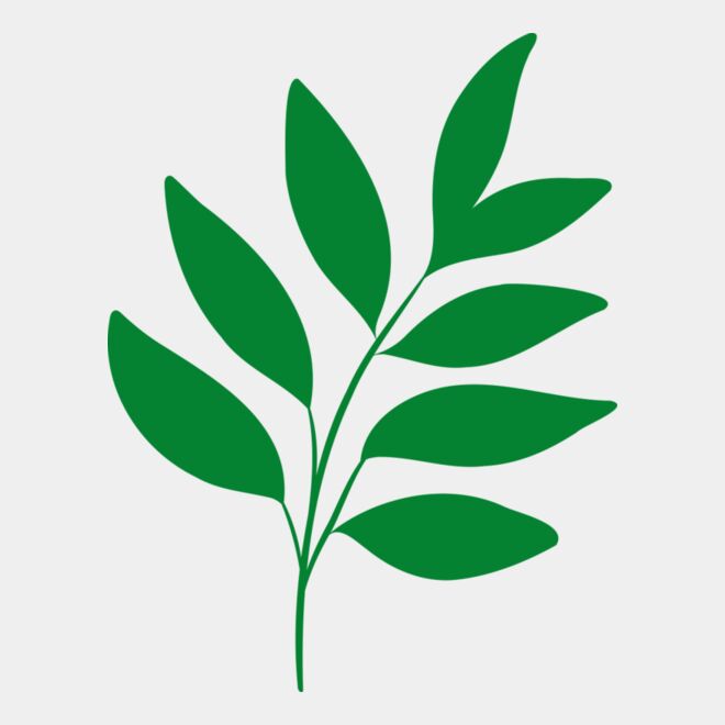 17 Leaves Thumbnail