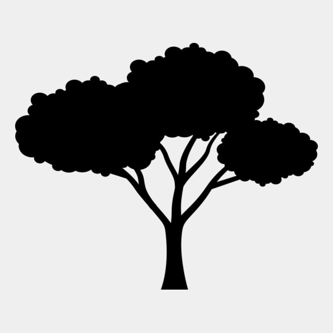 40 Tree Thumbnail