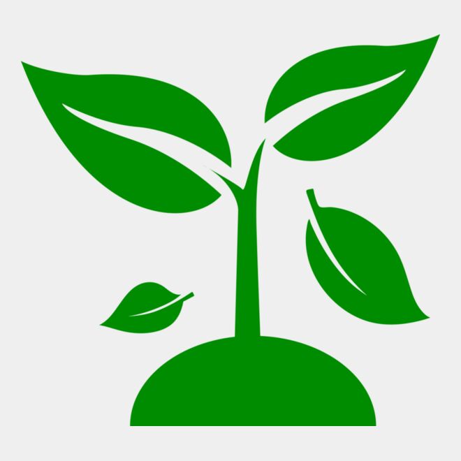 48 Plant Thumbnail