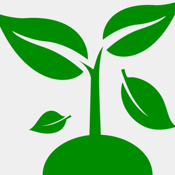 48 Plant Thumbnail