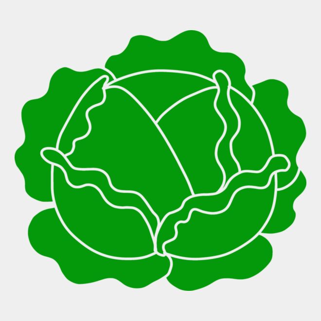 Cabbage Thumbnail