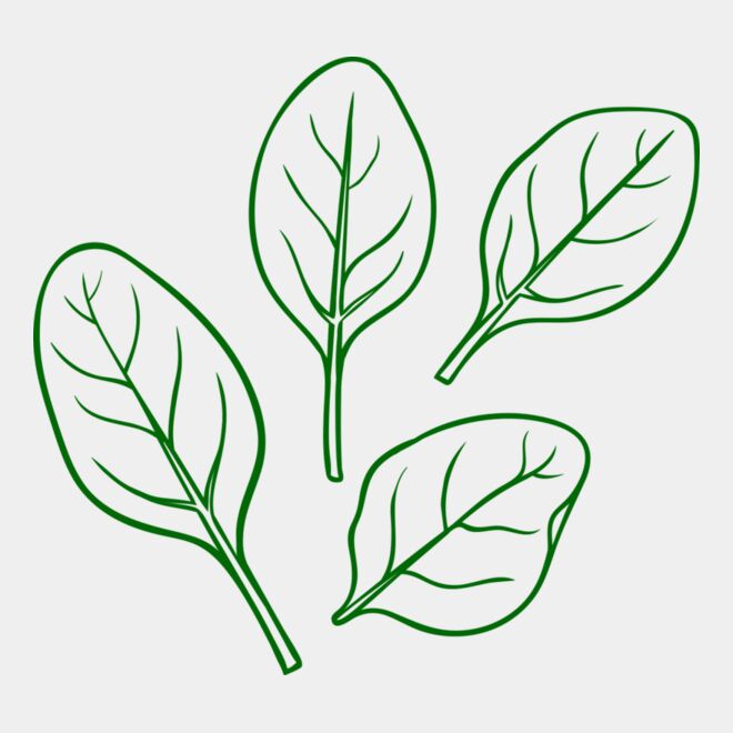 Spinach Thumbnail