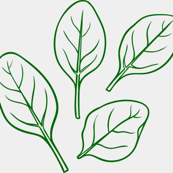 Spinach Thumbnail