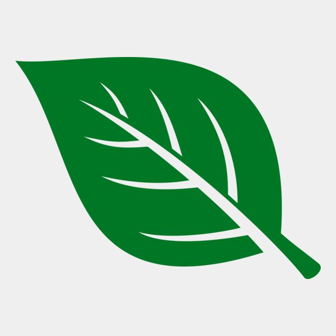 Leaf Thumbnail