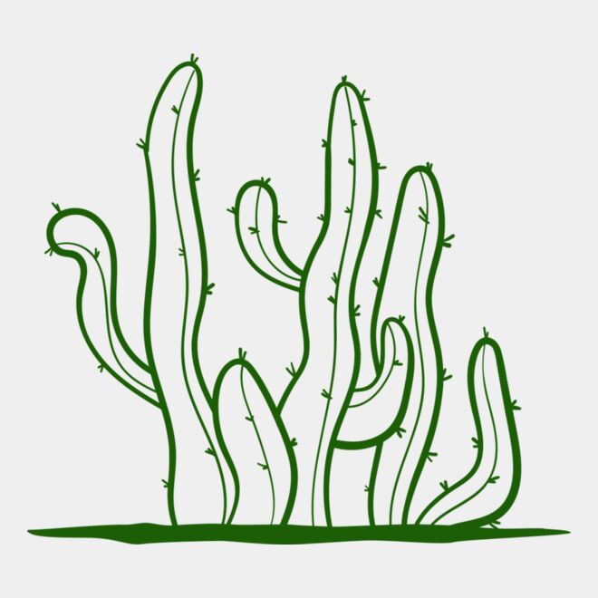 Cactus 2 Thumbnail