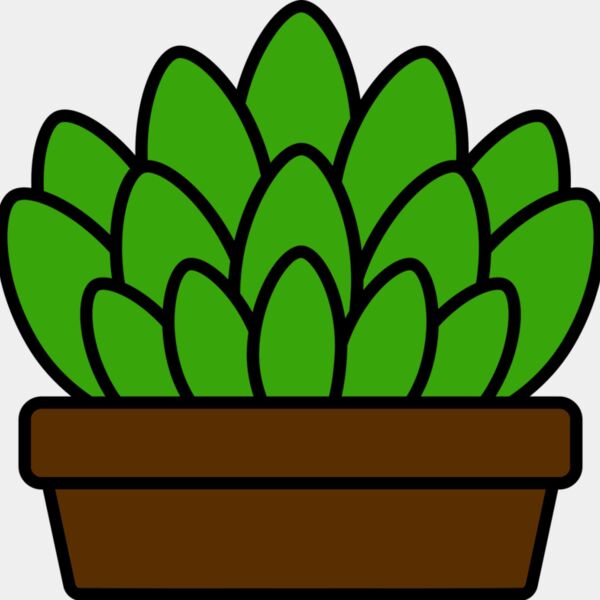 Succulent Plant Thumbnail