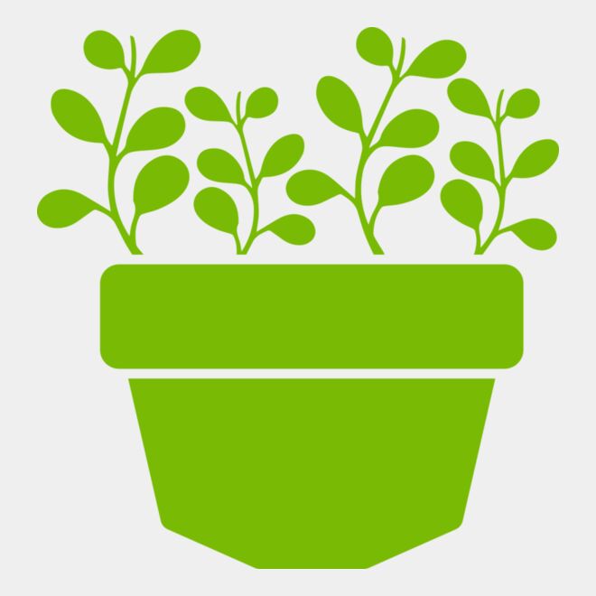 Succulent Plant 3 Thumbnail