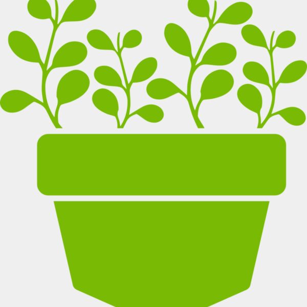 Succulent Plant 3 Thumbnail