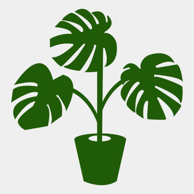 Plant Thumbnail