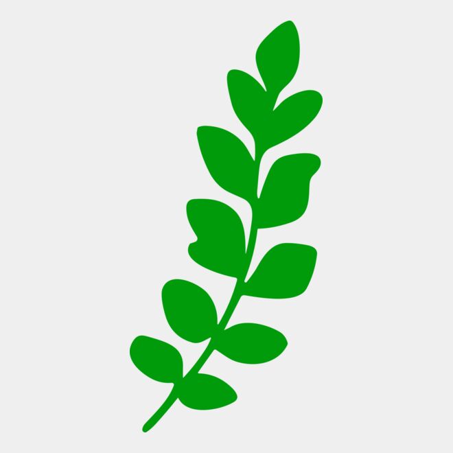 Leaves Thumbnail