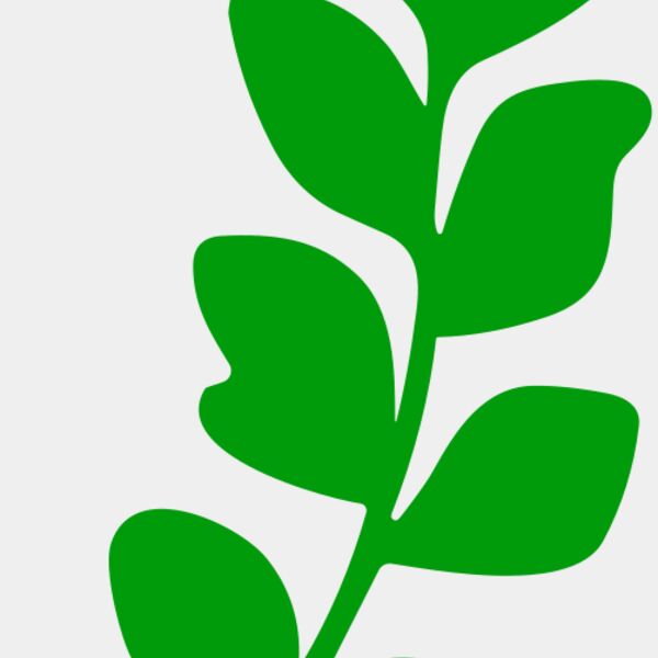 Leaves Thumbnail