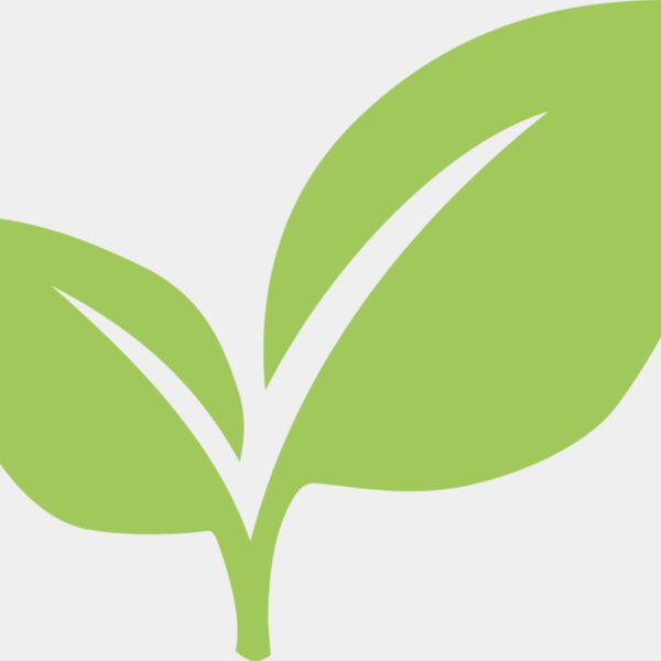 Leaves 6 Thumbnail