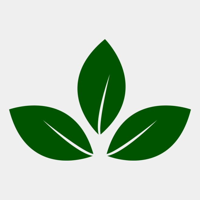 Leaves 5 Thumbnail
