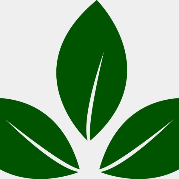 Leaves 5 Thumbnail