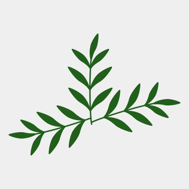 Leaves 2 Thumbnail
