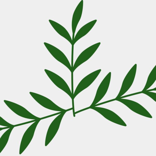 Leaves 2 Thumbnail