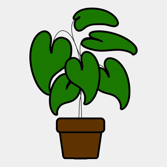 Plant Thumbnail