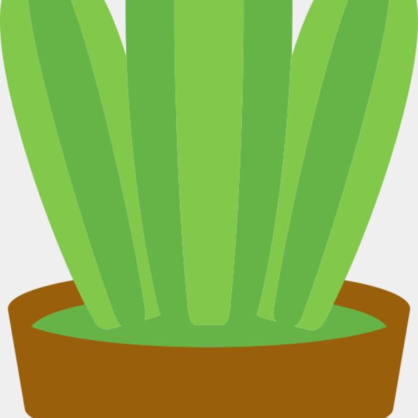 Cactus 1 Thumbnail
