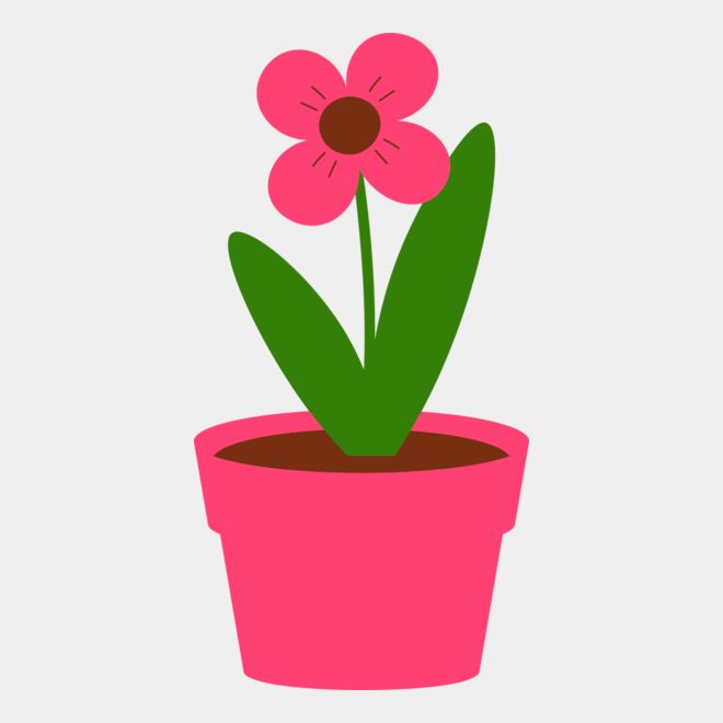 Plant 4 Thumbnail