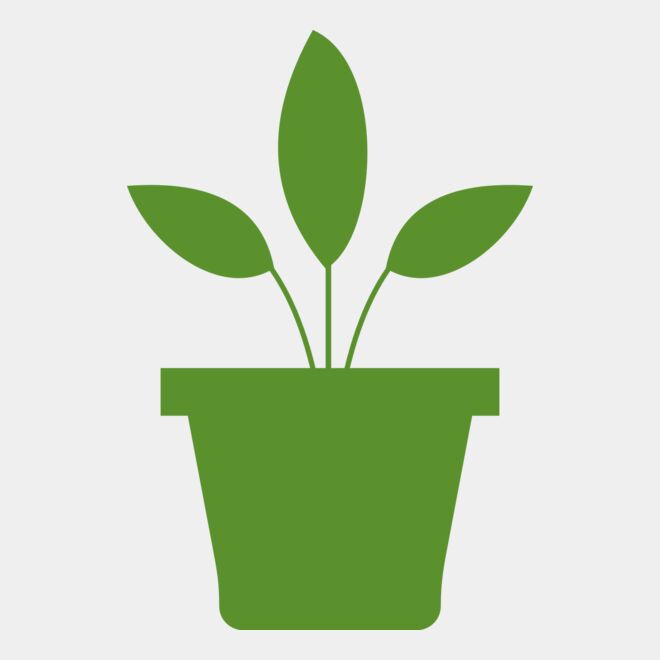 Plant 2 Thumbnail