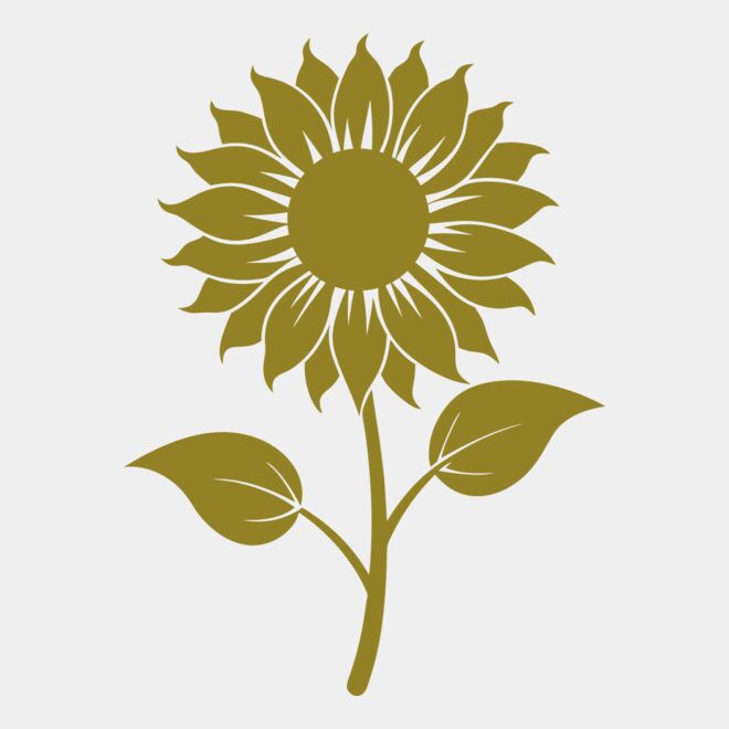 Sunflower 2 Thumbnail