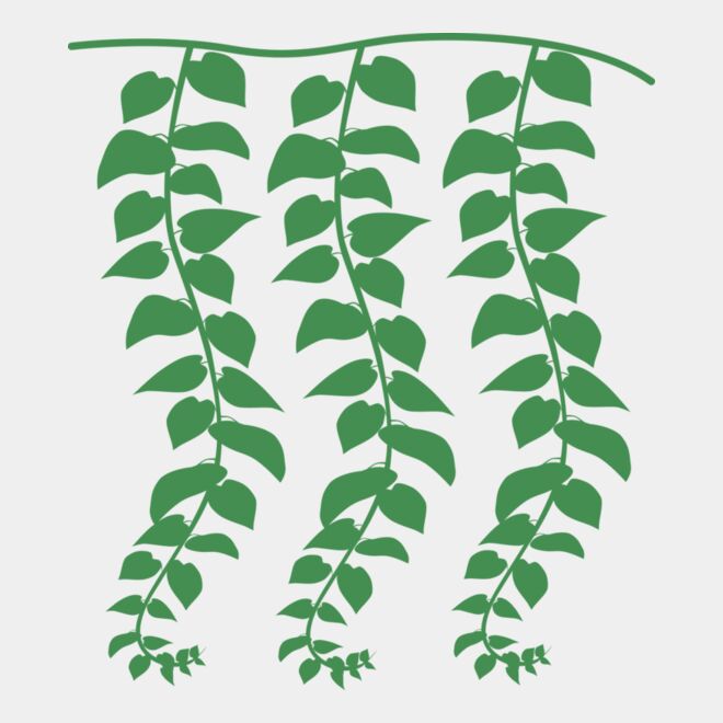Hanging Plants Thumbnail