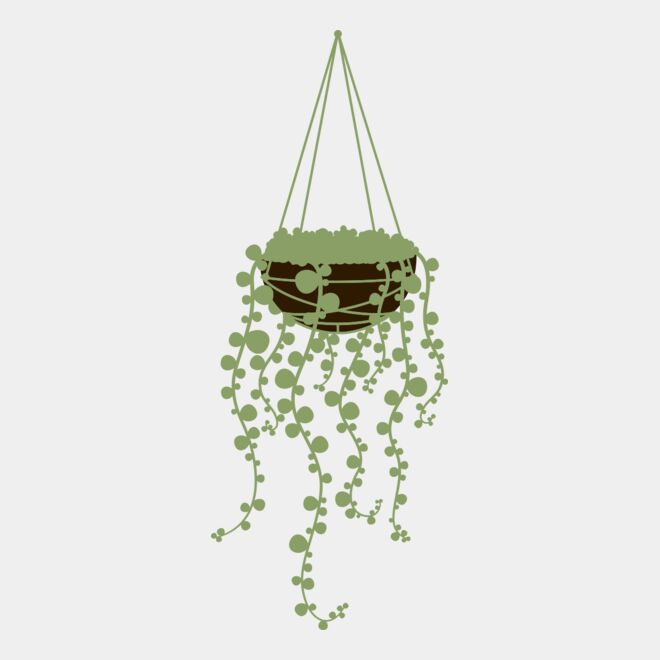 Hanging Plants 3 Thumbnail