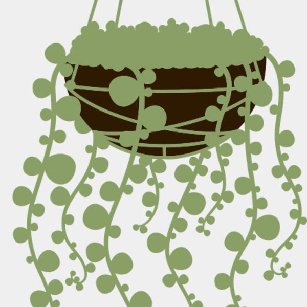 Hanging Plants 3 Thumbnail