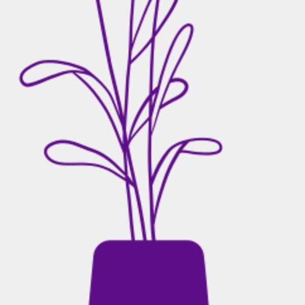 Flowers 7 Thumbnail
