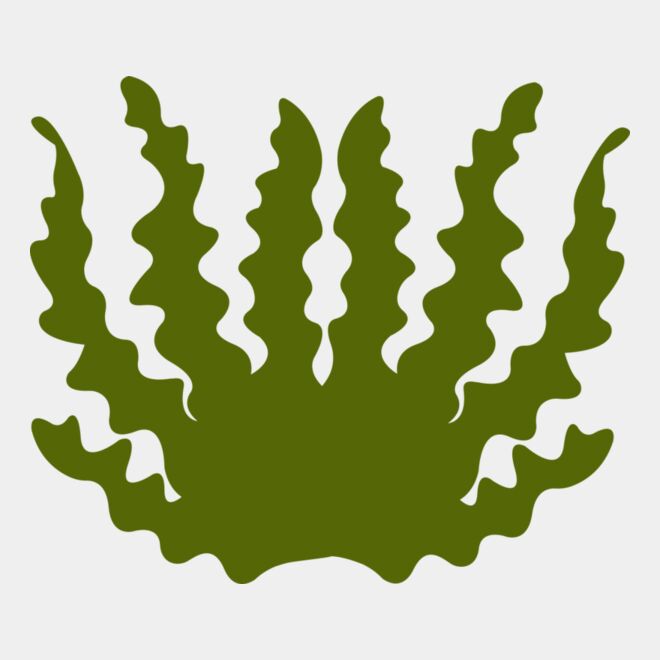 Sea Plant 2 Thumbnail