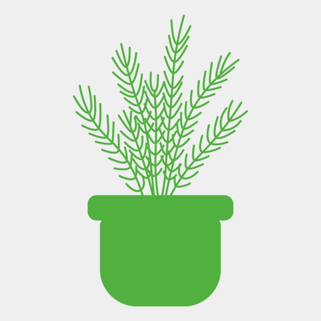 Herb Thumbnail