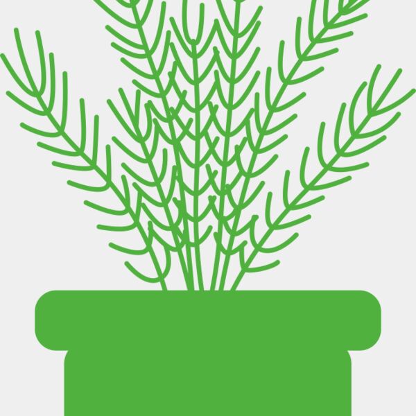 Herb Thumbnail