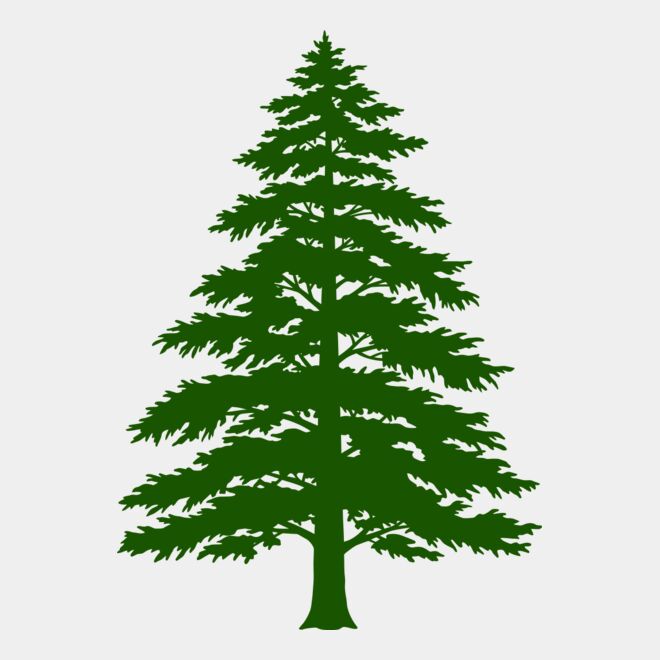 Tree Plant 3 Thumbnail