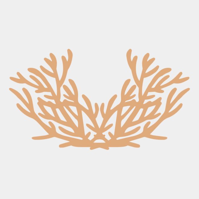 Sea Plants Thumbnail