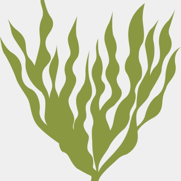 Sea Plants 5 Thumbnail